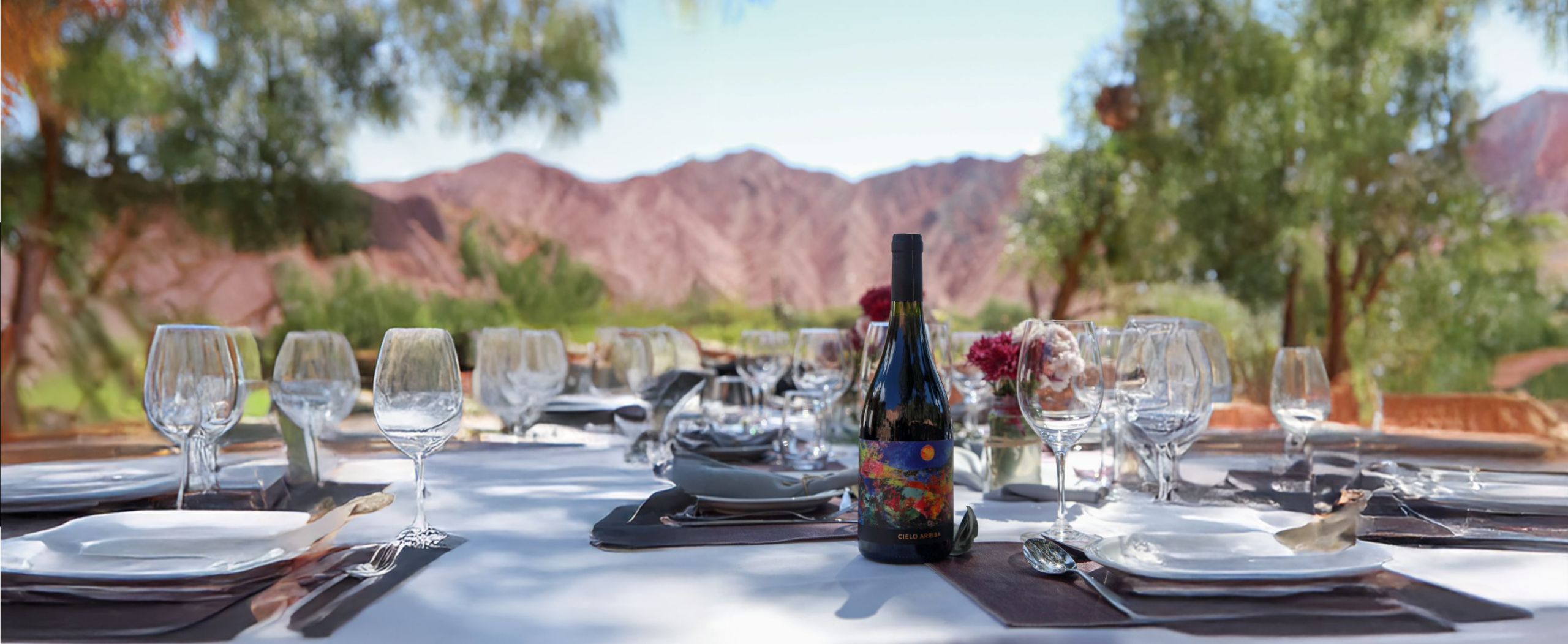 Huichaira Vineyard Weinberge